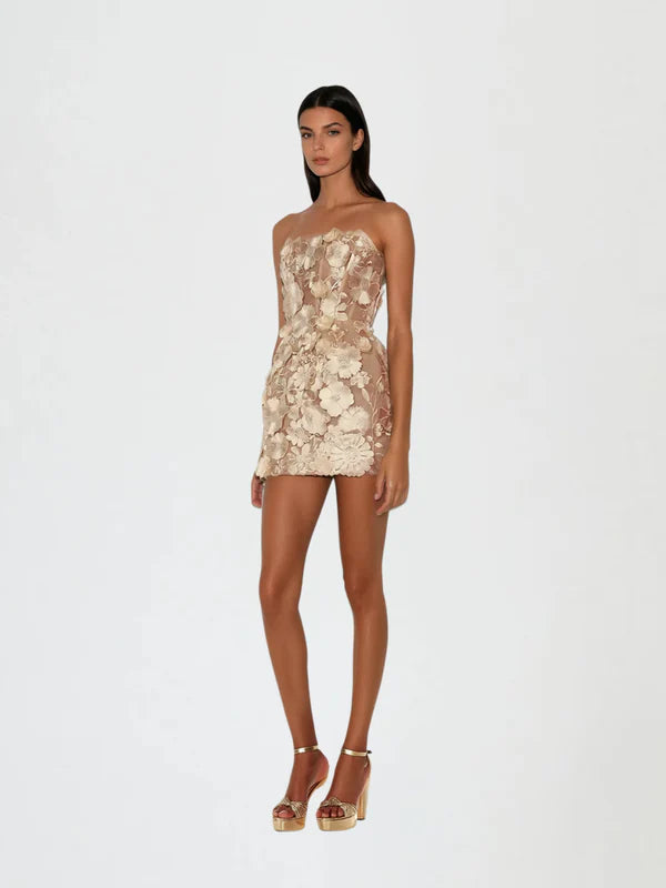 Galina Strapless Flower Embroidered Mini Dress